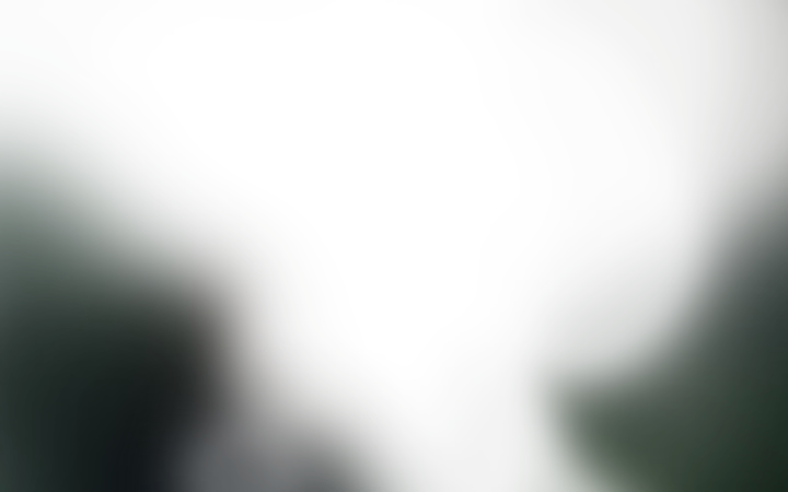 Велнес