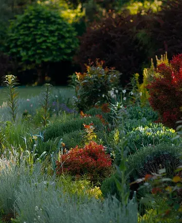 Botanical zones