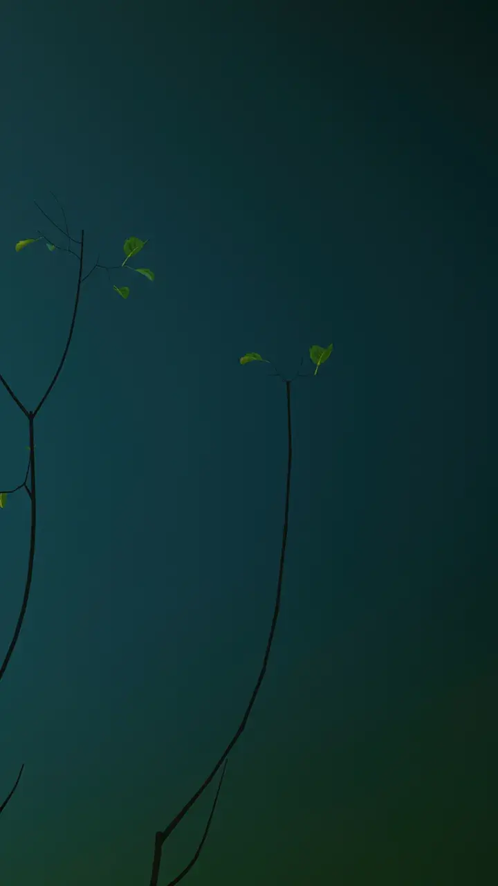 Center of<br />
Transformation