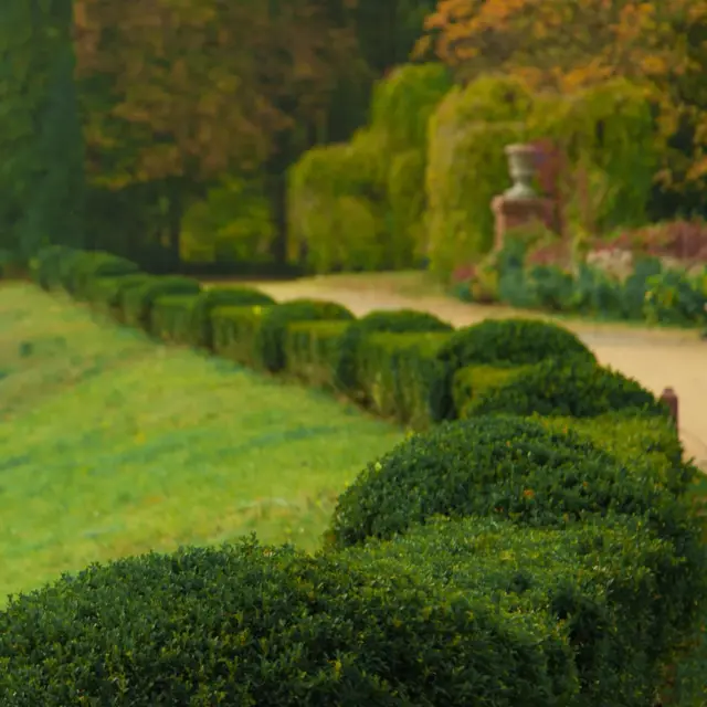 Nobleman’s promenade